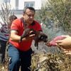 Alevlerin arasında kalan yavru köpekler kurtarıldı Alevlerin arasında kalan yavru köpekler kurtarıldı