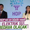HDP'nin seçim vaadi: Bedava elektrik ve su