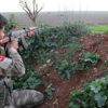 Suriye sınırından taciz ateşi açan terörist öldürüldü