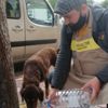 Sokağa çıkma yasağında sokak hayvanlarını unutmadı Sokağa çıkma yasağında sokak hayvanlarını unutmadı