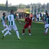 Anagold 24 erzincanspor: 3-1
