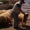 İHH Suriye'de kurbanlık alımını tamamladı