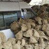 İran'daki depremde 25 kişi yaralandı | Son depremler