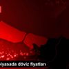 Serbest piyasada döviz fiyatları Serbest piyasada döviz fiyatları