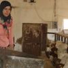 Bileziklerini satarak başladığı besicilikte örnek üretici oldu