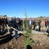 Tunceli de 327 bin fidanın dikimine Düzgün Baba Dağ ...