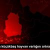 Çorum da küçükbaş hayvan varlığını artıracak dev proje Çorum da küçükbaş hayvan varlığını artıracak dev proje