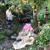 Sakarya'da işçileri taşıyan traktör devrildi: 7 ölü var