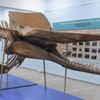 Paleontoloji müzesi için ilan Paleontoloji müzesi için ilan