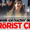 'Evlenmek için kaçtım' demişti! Terörist çıktı