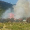 Son dakika: Aydın'da orman yangını |Video