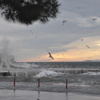 Lodos Sinop'u vurdu Lodos Sinop'u vurdu
