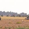 Afrin’den önce İdlib’e asker