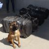 Uluslararası uyuşturucu ticaretine 3 tutuklama Uluslararası uyuşturucu ticaretine 3 tutuklama