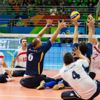 Paravolley nedir