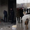 Bugüne damgasını vuran 2 köpek hikayesi Bugüne damgasını vuran 2 köpek hikayesi