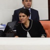 Meclis açılışında Baykal'a Dilek Öcalan eşlik edecek Meclis açılışında Baykal'a Dilek Öcalan eşlik edecek