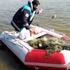  2 ton canlı balık suya bırakıldı 2 ton canlı balık suya bırakıldı