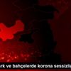 Muş ta park ve bahçelerde korona sessizliği Muş ta park ve bahçelerde korona sessizliği