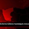 Fındık üreticilerine külleme hastalığıyla mücadele ... Fındık üreticilerine külleme hastalığıyla mücadele ...
