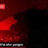 Zonguldak ta ahır yangını Zonguldak ta ahır yangını