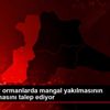 Çevreciler ormanlarda mangal yakılmasının yasaklanmasını ... Çevreciler ormanlarda mangal yakılmasının yasaklanmasını ...