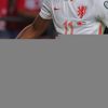 Fenerbahçe Luciano Narsingh’in peşine düştü