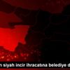 Bursa dan siyah incir ihracatına belediye desteği Bursa dan siyah incir ihracatına belediye desteği