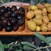 Zeytinde mantar tehdidi Zeytinde mantar tehdidi