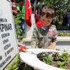 15 Temmuz şehitlerinin kabirlerine karanfil bırakıldı 15 Temmuz şehitlerinin kabirlerine karanfil bırakıldı