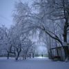 Meteoroloji duyurdu! Bugün hava nasıl olacak? 5 Mart 2021 hava durumu