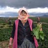 Sezon sonuna doğru ıspanak tahtını geri alıyor Sezon sonuna doğru ıspanak tahtını geri alıyor