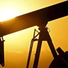 OPEC'in petrol üretimi arttı OPEC'in petrol üretimi arttı