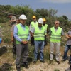 Ormancılar Yabani Zeytinleri Aşılıyor Ormancılar Yabani Zeytinleri Aşılıyor