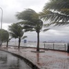 Meteoroloji'den fırtına uyarısı Meteoroloji'den fırtına uyarısı