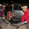Kuşadası’nda ölü yunus bulundu Kuşadası’nda ölü yunus bulundu