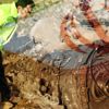 İran: Düşürülen Ukrayna uçağıyla ilgili bazı kişiler gözaltına alındı İran: Düşürülen Ukrayna uçağıyla ilgili bazı kişiler gözaltına alındı