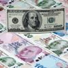 Dolar dikkat çeken hareketlilik