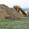 Pancar üreticisine `nem` darbesi Pancar üreticisine `nem` darbesi