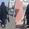 Kedileri zehirleyip çöpe attılar