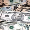 Merkez Bankası'ndan dövize fren Merkez Bankası'ndan dövize fren