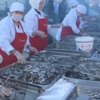 Hamsi Şenliğinde 2 Ton Hamsi Tüketildi Hamsi Şenliğinde 2 Ton Hamsi Tüketildi