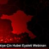 DEİK Türkiye-Çin Hubei Eyaleti Webinarı