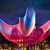 Amsterdam’ın ışık festivali Amsterdam’ın ışık festivali