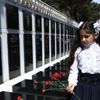 Azerbaycan'da Şuşa şehitleri anıldı Azerbaycan'da Şuşa şehitleri anıldı