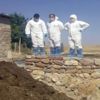 Sivas’ta şarbon şüphesi ile karantina