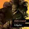 Zülfü Livaneli'den 'Gölgeler'