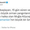 Son Dakika: Türkiye'de 28 Temmuz itibarıyla başlayan büyük orman yangınlarının tümü kontrol altına alındı