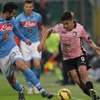 Napoli'nin galibiyet serisini Palermo sonlandırdı Napoli'nin galibiyet serisini Palermo sonlandırdı