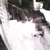 Köpeğe tecavüzün cezası 454 lira